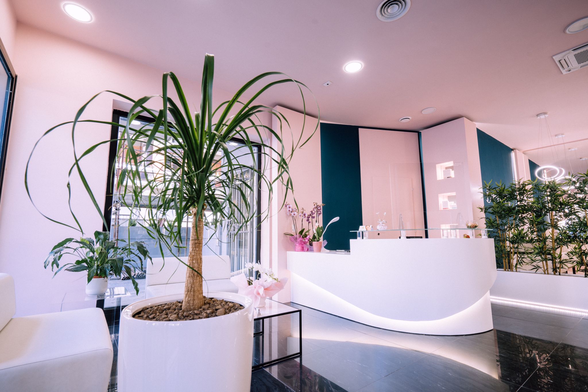 Viso — Clarens Beauty
